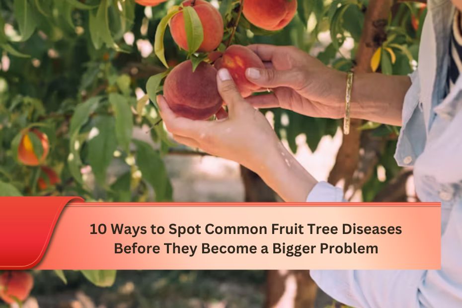 10 Ways to Spot Common Fruit Tree Diseases Before They Become a Bigger Problem