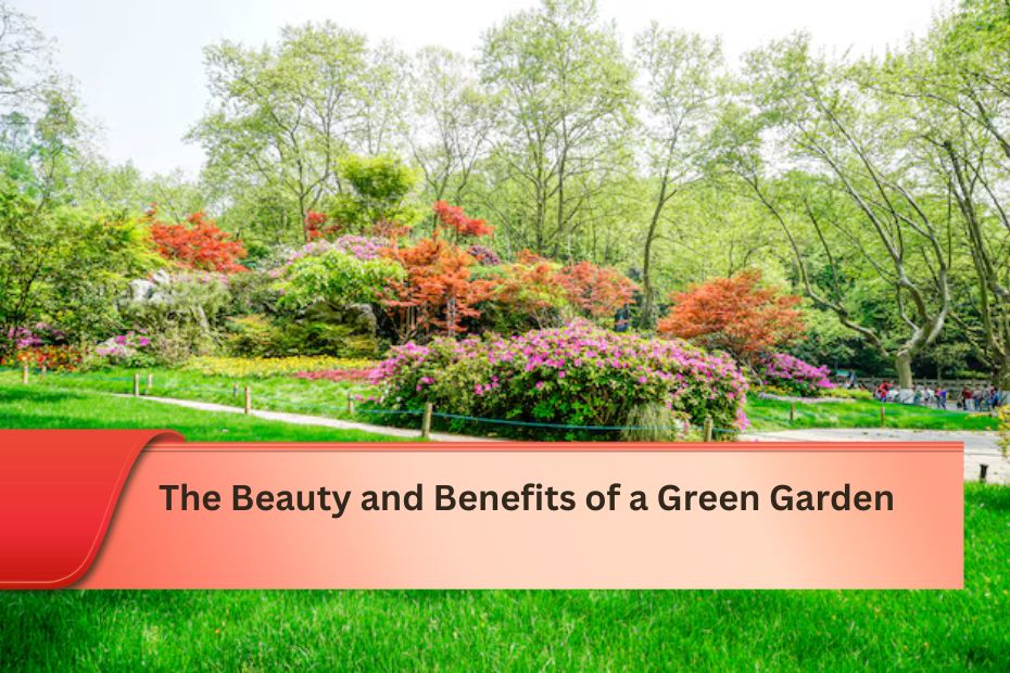 The Beauty and Benefits of a Green Garden