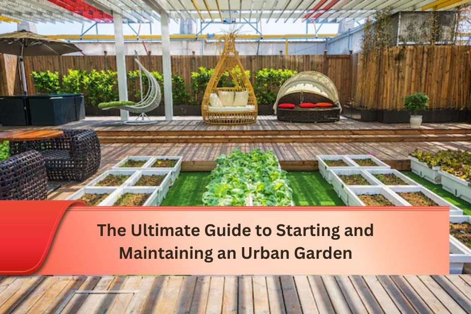 The Ultimate Guide to Starting and Maintaining an Urban Garden