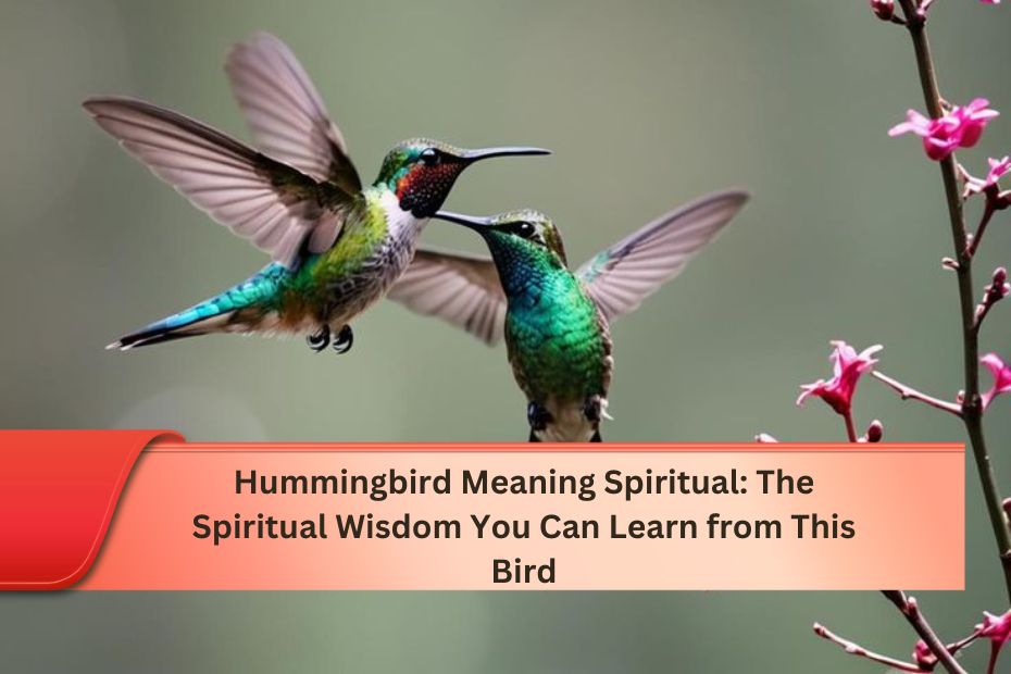 Hummingbird Meaning Spiritual: The Spiritual Wisdom You Can Learn from This Bird