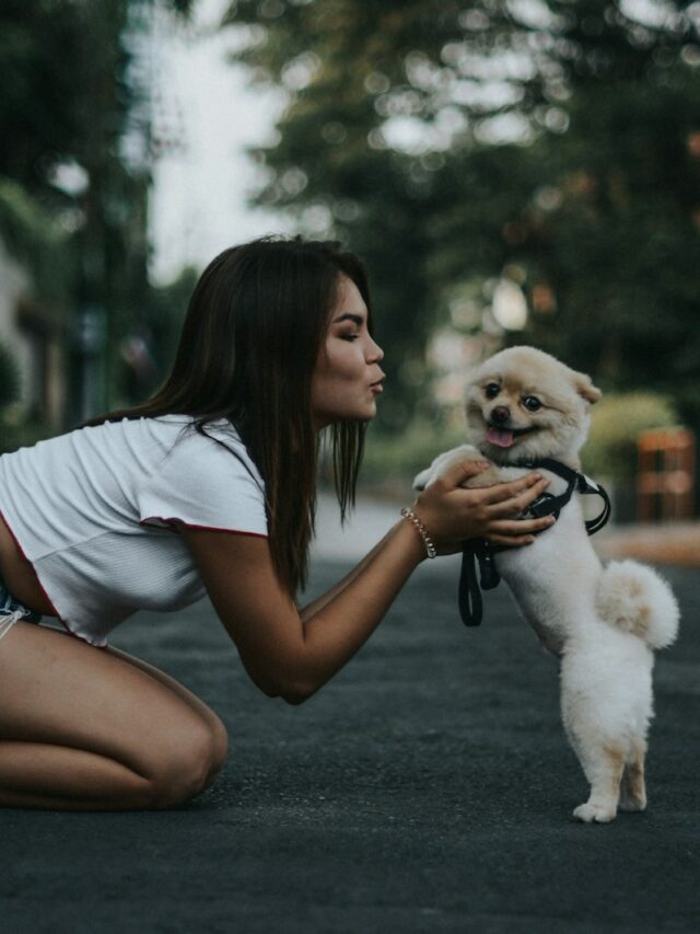 Say Goodbye to the Damp Dog Smell