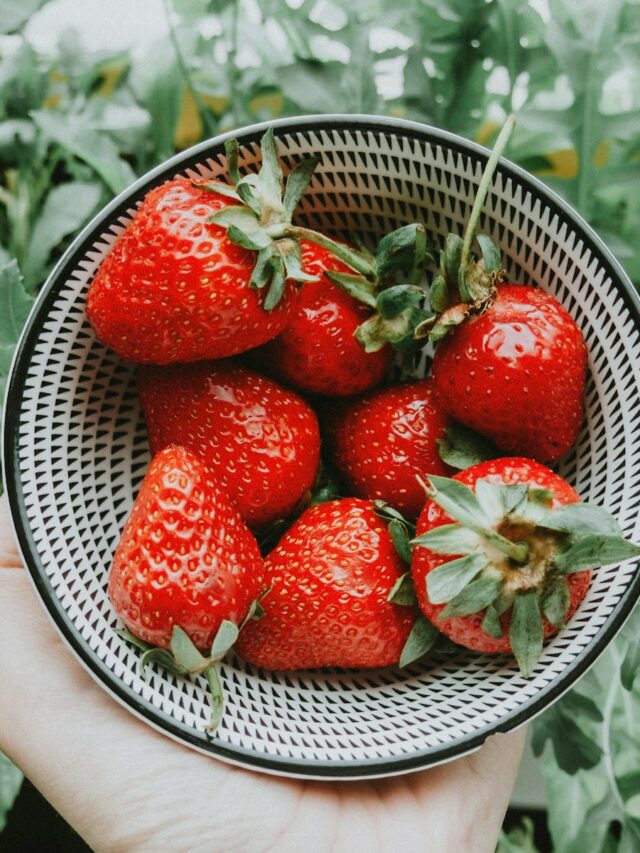 Yes, There Are Bugs in Strawberries—7 Tips for Safe Removal