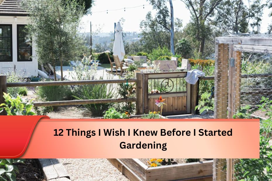 12 Things I Wish I Knew Before I Started Gardening