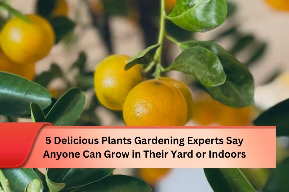 5 Delicious Plants Gardening Experts Say Anyone Can Grow in Their Yard or Indoors