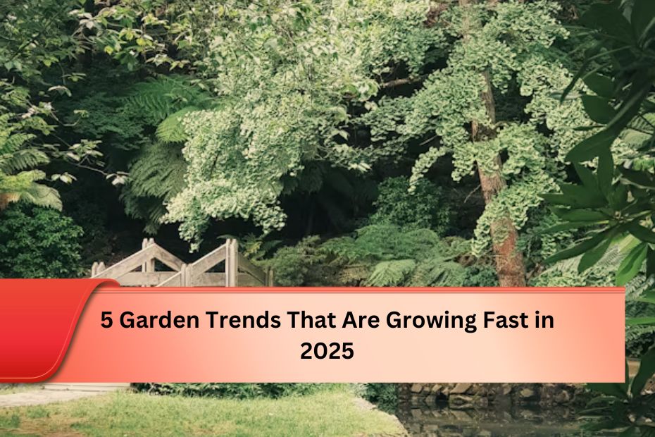 5 Garden Trends That Are Growing Fast in 2025