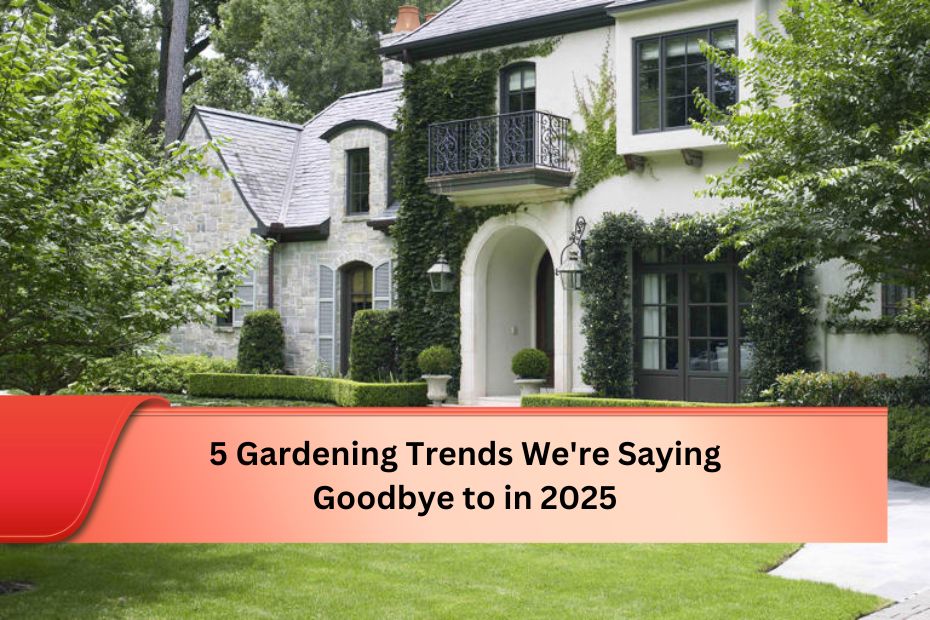 5 Gardening Trends We're Saying Goodbye to in 2025