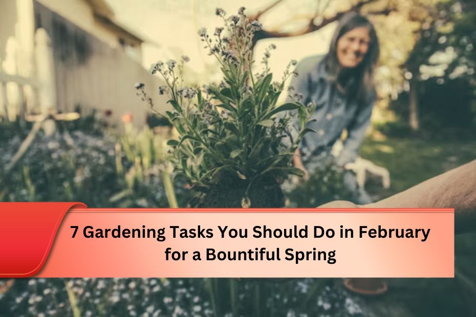 7 Gardening Tasks You Should Do in February for a Bountiful Spring