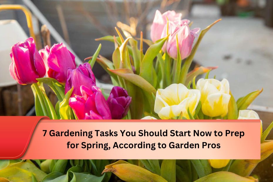 7 Gardening Tasks You Should Start Now to Prep for Spring, According to Garden Pros