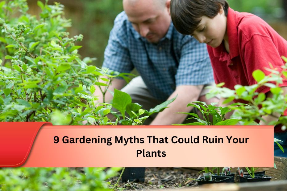 9 Gardening Myths That Could Ruin Your Plants