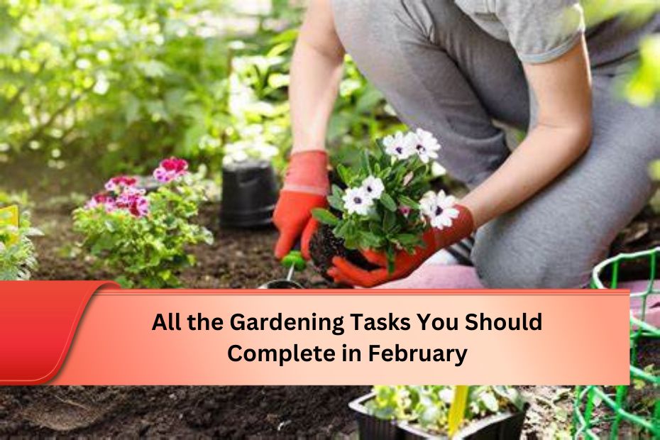 All the Gardening Tasks You Should Complete in February