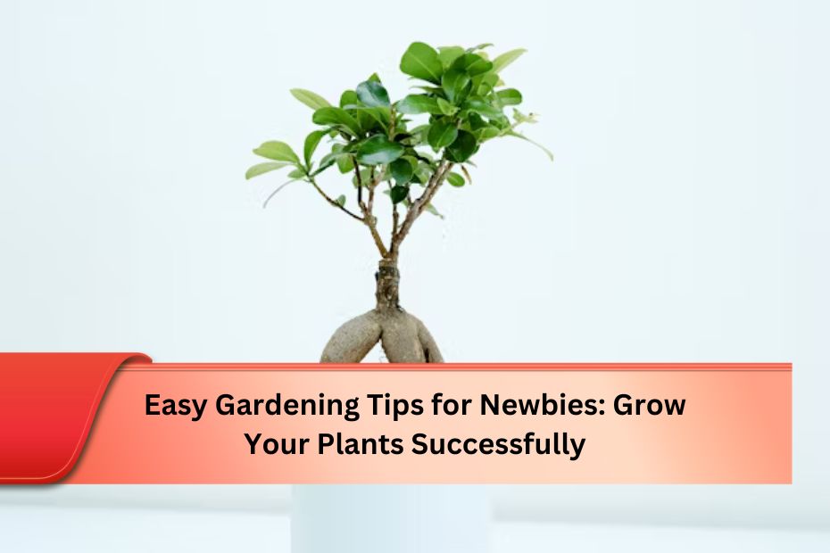 Easy Gardening Tips for Newbies: Grow Your Plants Successfully