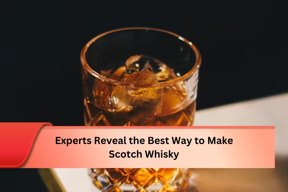 Experts Reveal the Best Way to Make Scotch Whisky