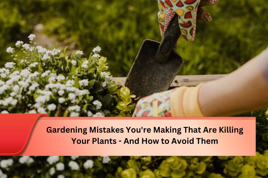 Gardening Mistakes You're Making That Are Killing Your Plants - And How to Avoid Them