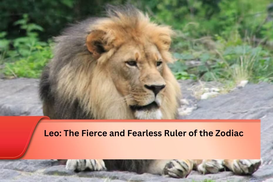 Leo: The Fierce and Fearless Ruler of the Zodiac