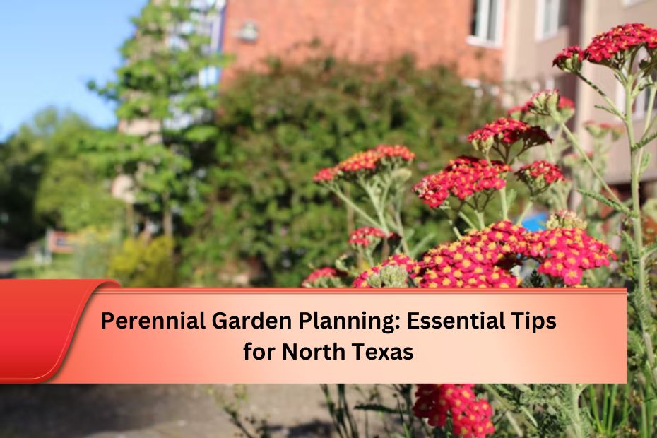 Perennial Garden Planning Essential Tips for North Texas