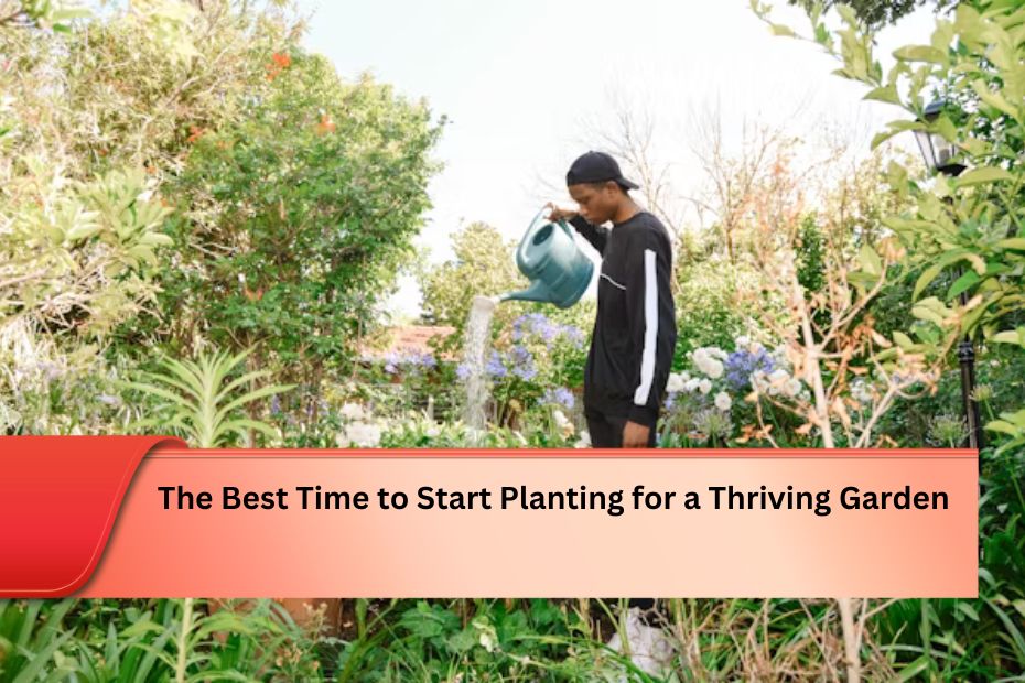 The Best Time to Start Planting for a Thriving Garden