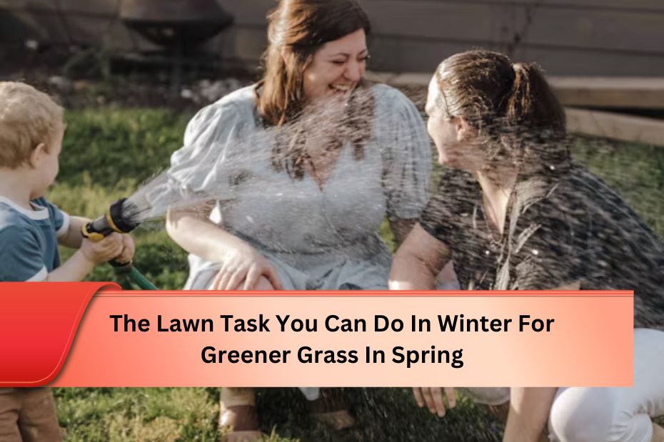 The Lawn Task You Can Do In Winter For Greener Grass In Spring