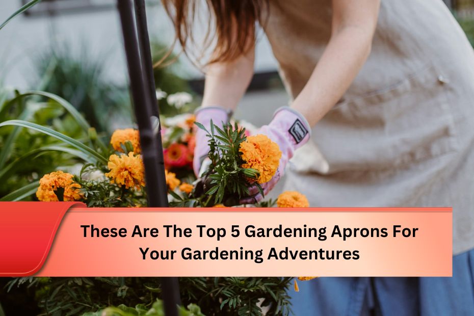 These Are The Top 5 Gardening Aprons For Your Gardening Adventures