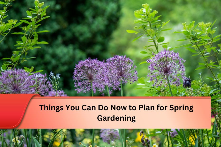 Things You Can Do Now to Plan for Spring Gardening