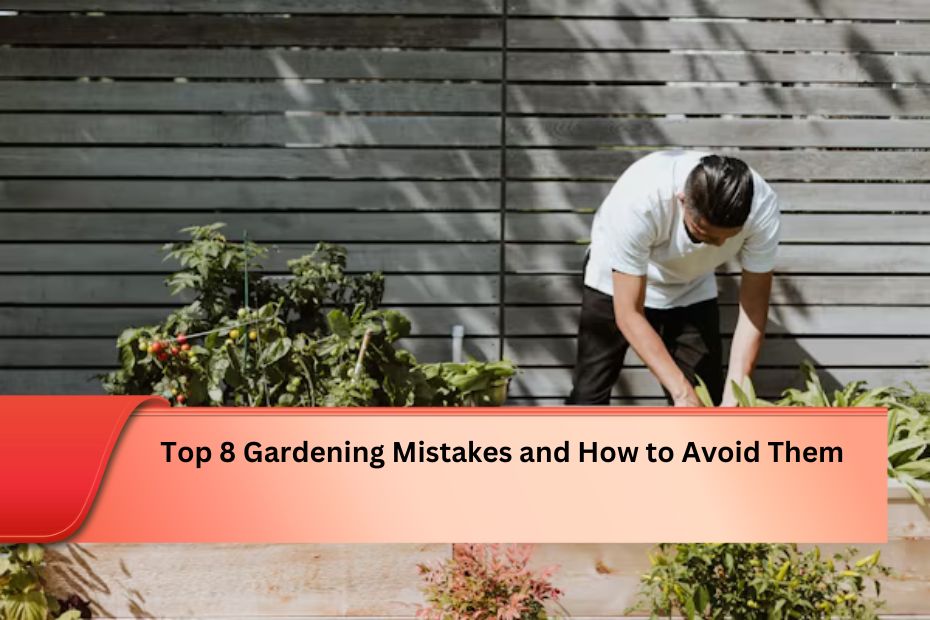 Top 8 Gardening Mistakes and How to Avoid Them