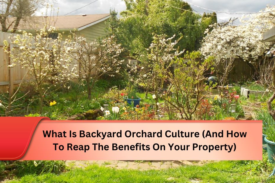 What Is Backyard Orchard Culture (And How To Reap The Benefits On Your Property)