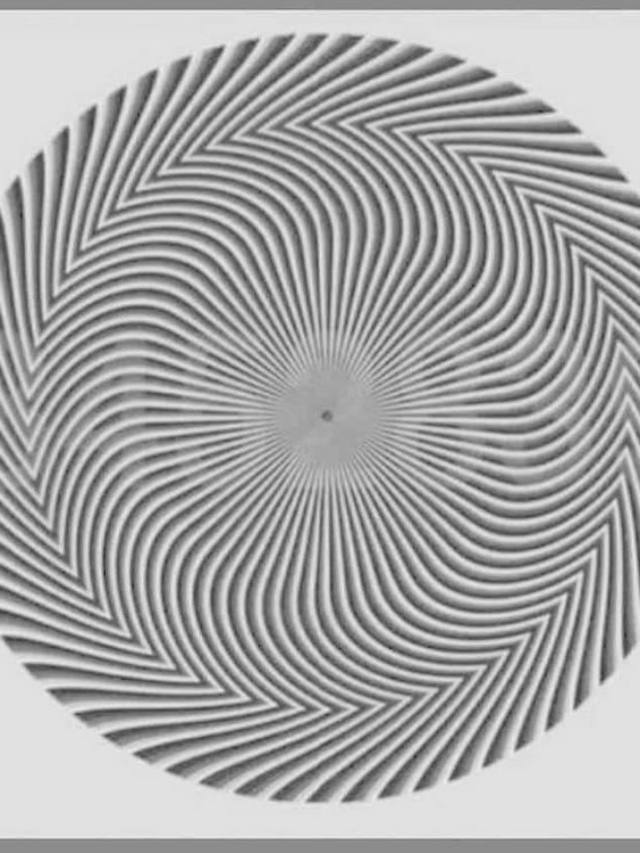 The Fascinating World of Optical Illusions: How Our Eyes Deceive Us