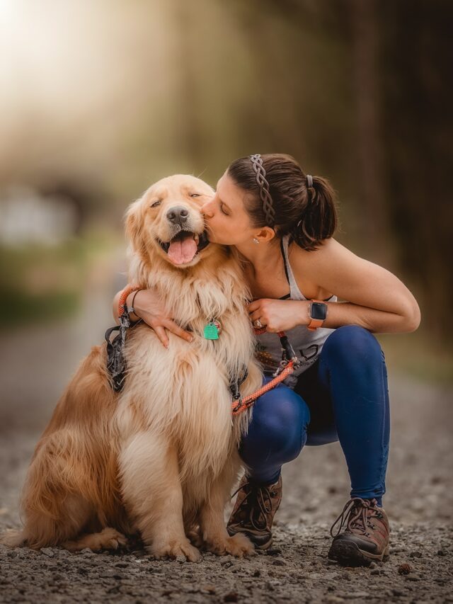 7 Signs Dogs Give When They Love Their Humans