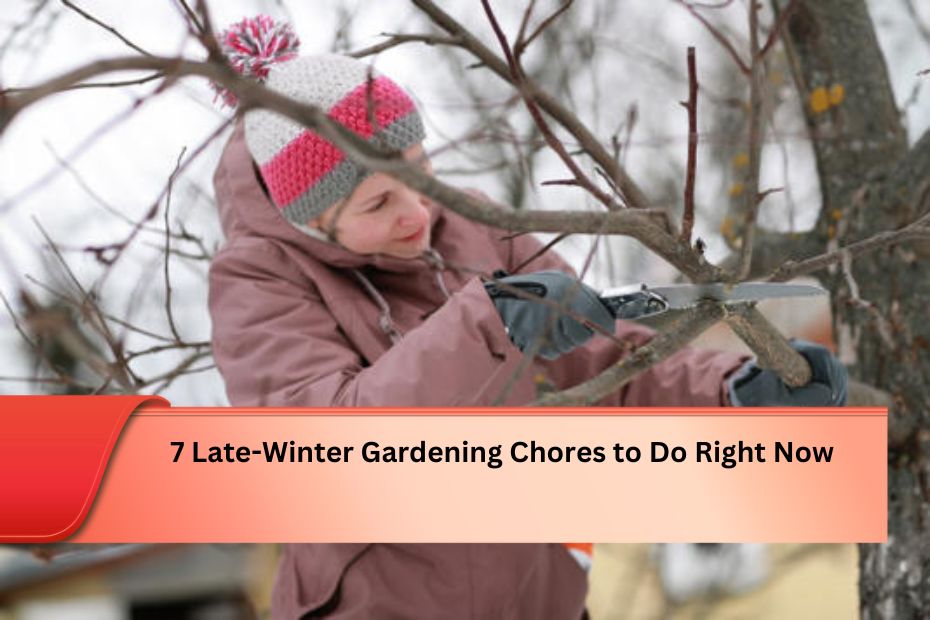 7 Late-Winter Gardening Chores to Do Right Now