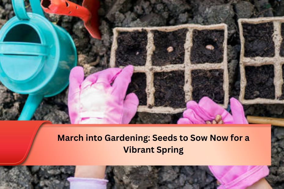 March into Gardening: Seeds to Sow Now for a Vibrant Spring