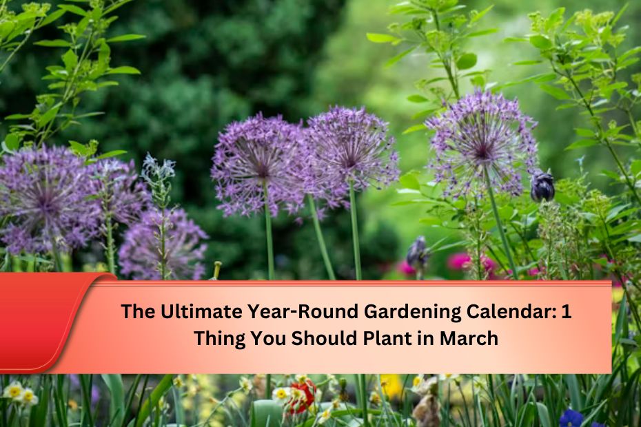 The Ultimate Year-Round Gardening Calendar: 1 Thing You Should Plant in March